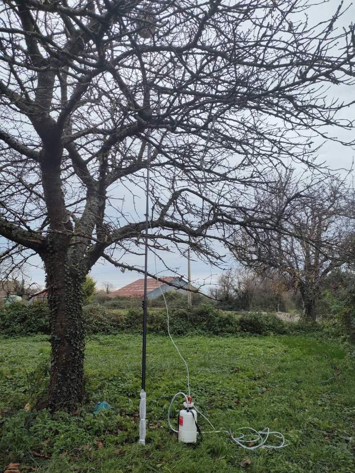 Service traitement processionnaire Gannat