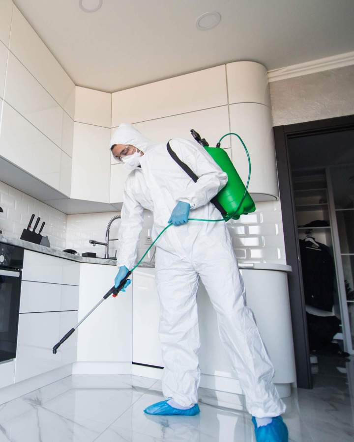 Intervention désinfection Gannat