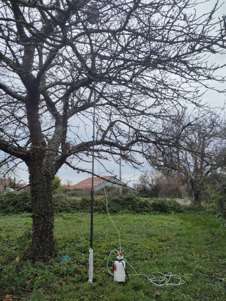 Traitement chenille processionnaire Gannat