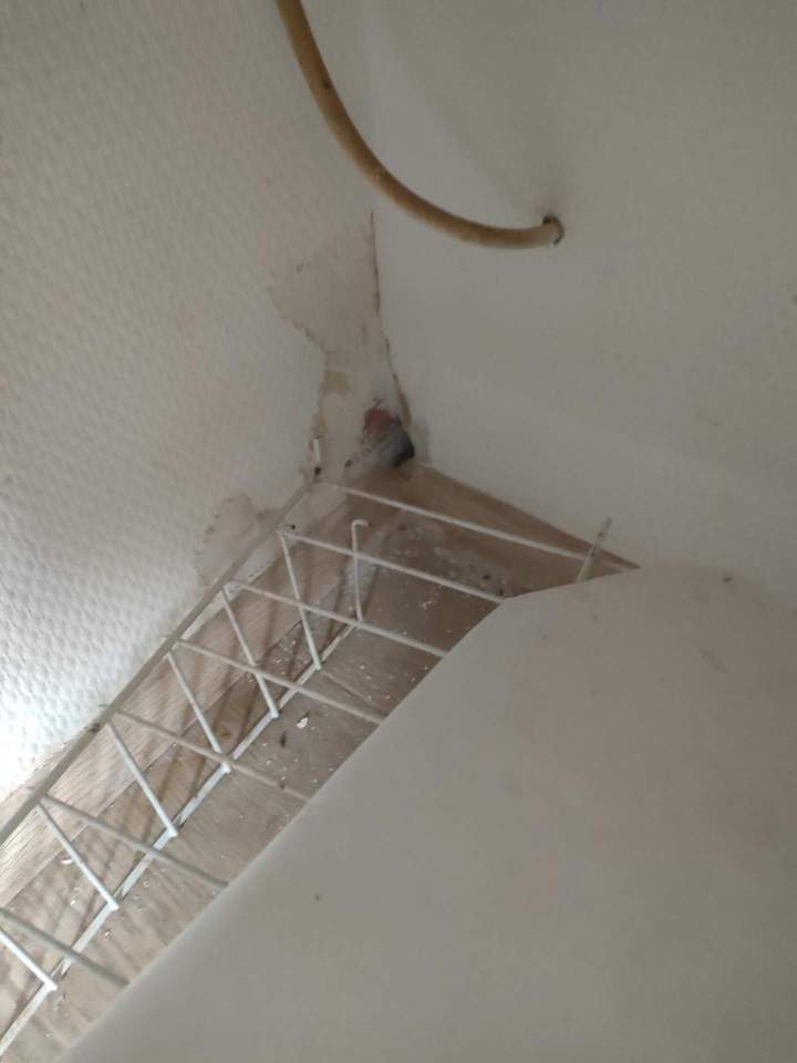 Traitement infestation Gannat