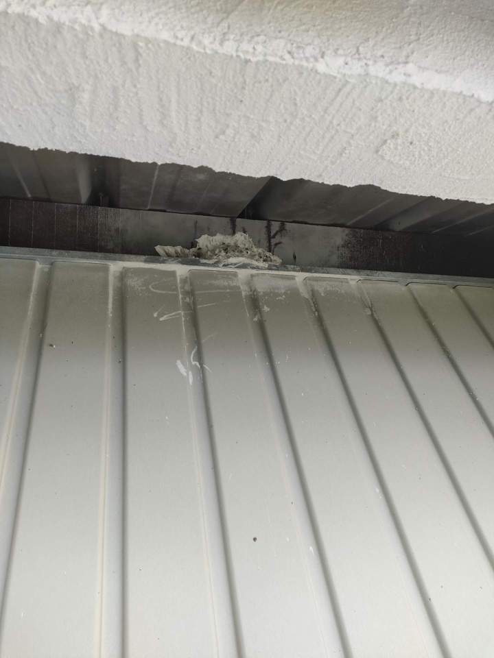 Lutte contre chenilles processionnaires Gannat