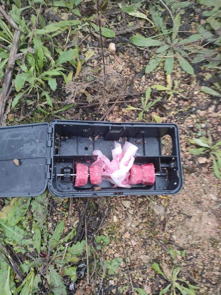 Service anti-nuisibles Gannat