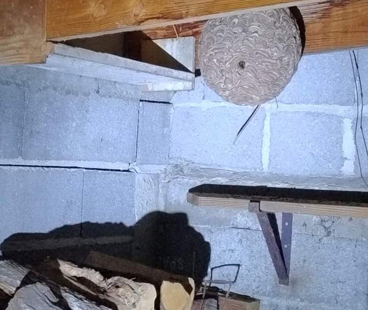 Piégeur agréé Gannat