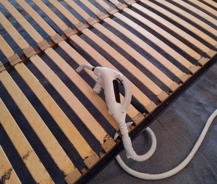 punaises de lit vichy